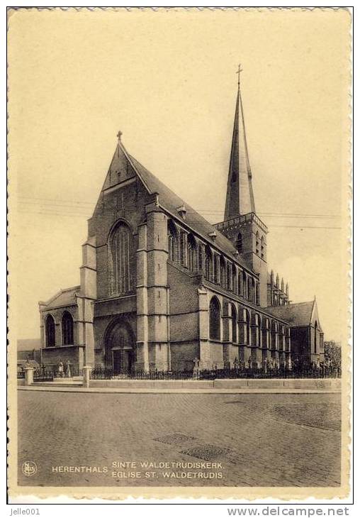 Herenthals  Herentals  Sinte Waldetrudiskerk - Herentals