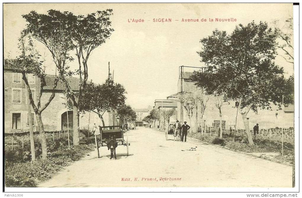 CPA  SIGEAN, Avenue De La Nouvelle  5620 - Sigean