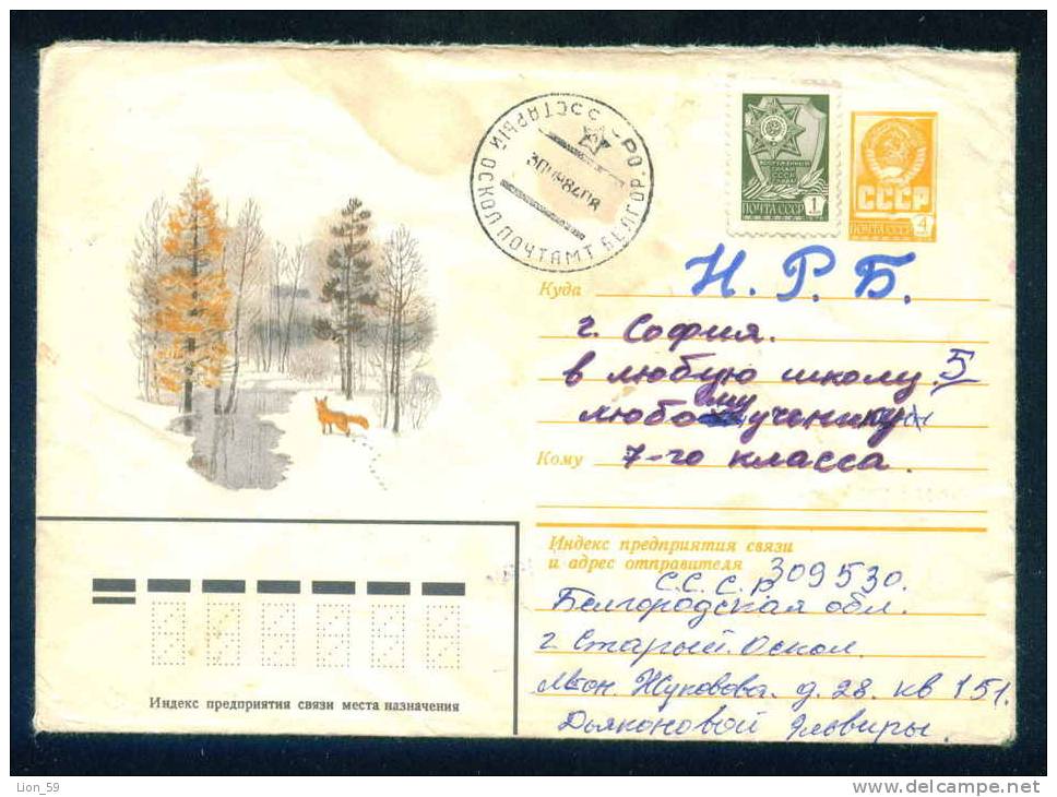 PS9000 /  ANIMALS - The Red Fox (Vulpes Vulpes) In The Forest 1982 Stationery Entier Russia Russie - Gibier