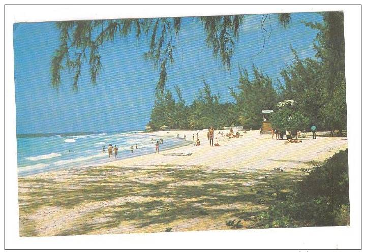 Popular Accra Beach, Christ Church, Barbados, West Indies, 40-60s - Barbados