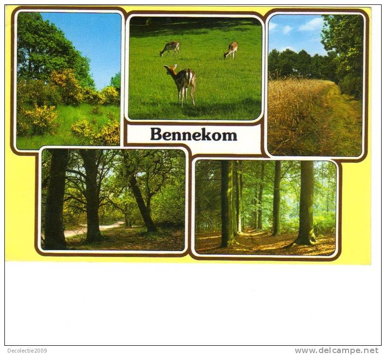 B67296 Holland Bennekom Deers Chevreuiles Multiviews Used Perfect Shape Back Scan At Request - Ede