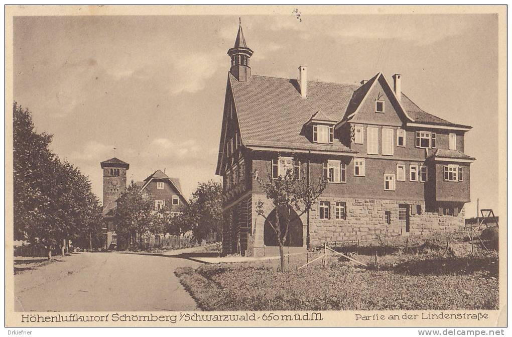 Schömberg, Schwarzwald, Krs. Calw, Partie An Der Lindenstraße, Stempel: Schömberg 17.6.1929 - Calw