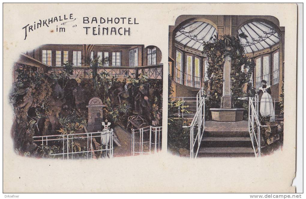 Bad Teinach, Krs. Calw, Trinkhalle Im Badhotel, Um 1905 - Calw