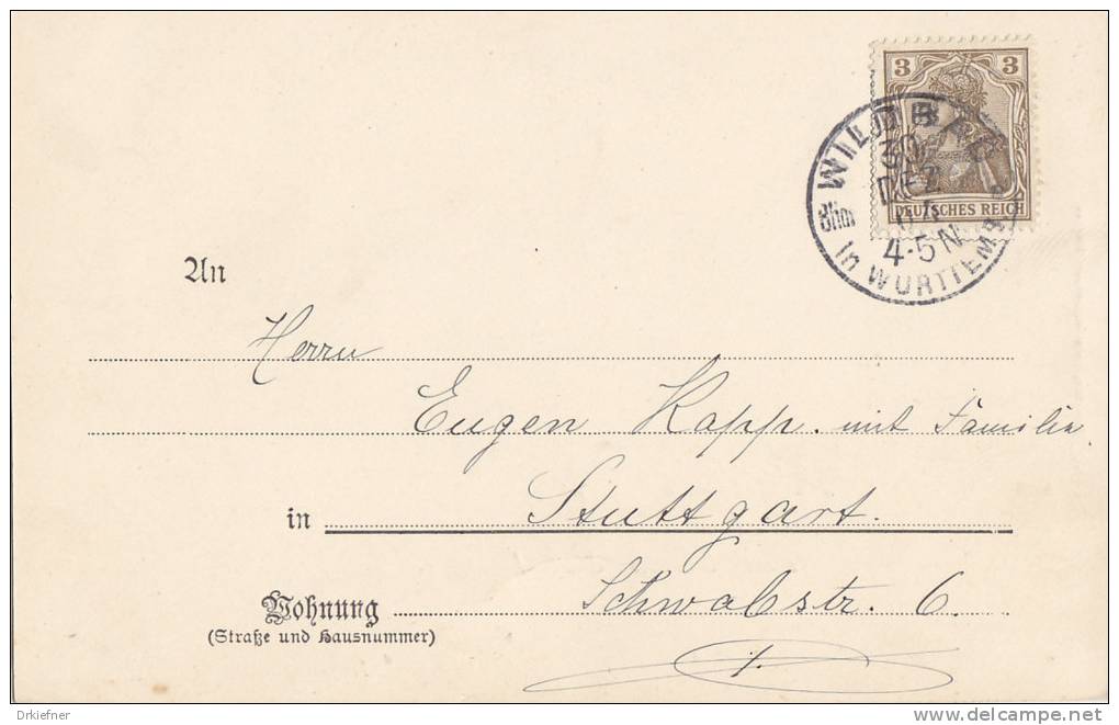 Bad Wildbad, Krs. Calw, Kurpark Im Winter, Neujahrsgruss, Stempel: Wildbad 20.DEZ 1904 - Calw