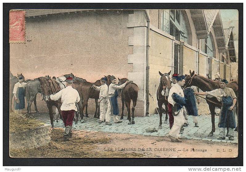 DD / MILITARIA / LES PLAISIRS DE LA CASERNE / LE PANSAGE DES CHEVAUX / CIRCULEE EN 1906 - Other & Unclassified