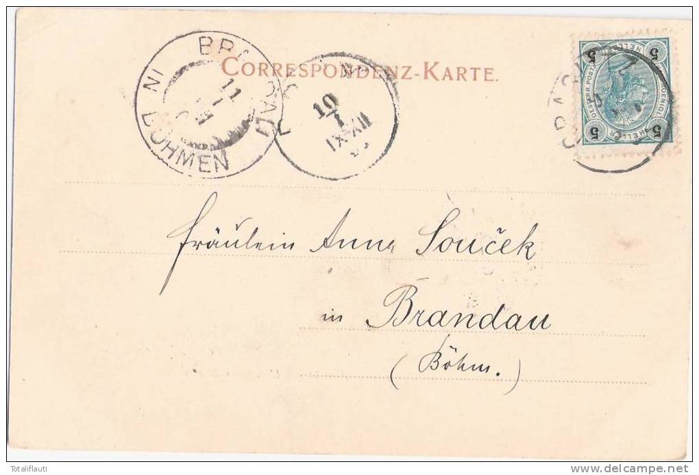 Gruss Aus Graslitz Ansicht Von Unter Graslitz Aus 9.1.1901 Nach Brandau Kraslice - Boehmen Und Maehren