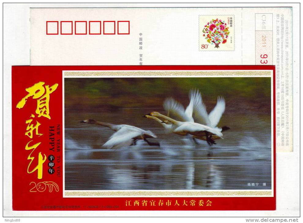 Swan Bird,China 2011 Yichun New Year Greeting Advertising Pre-stamped Card - Cisnes