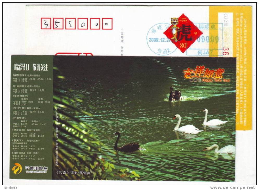 Black Swan,white Swan Bird,China 2010 Ningde Television Station New Year Greeting Pre-stamped Card - Cygnes