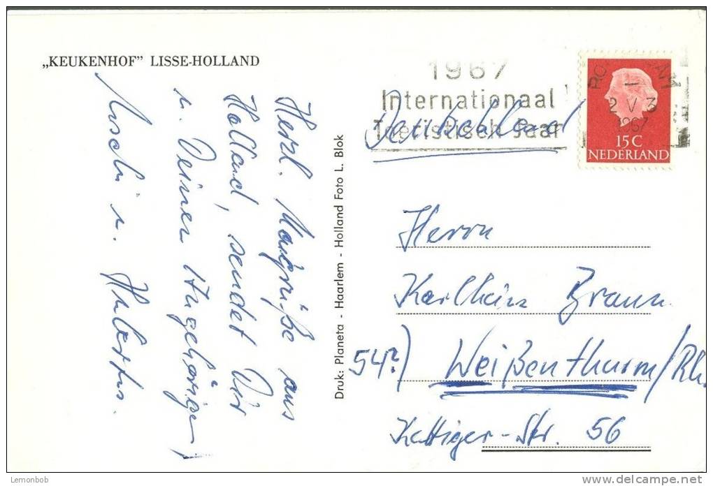 Holland, Netherlands, Keukenhof, Lisse-Holland, 1967 Used Postcard [P8943] - Lisse