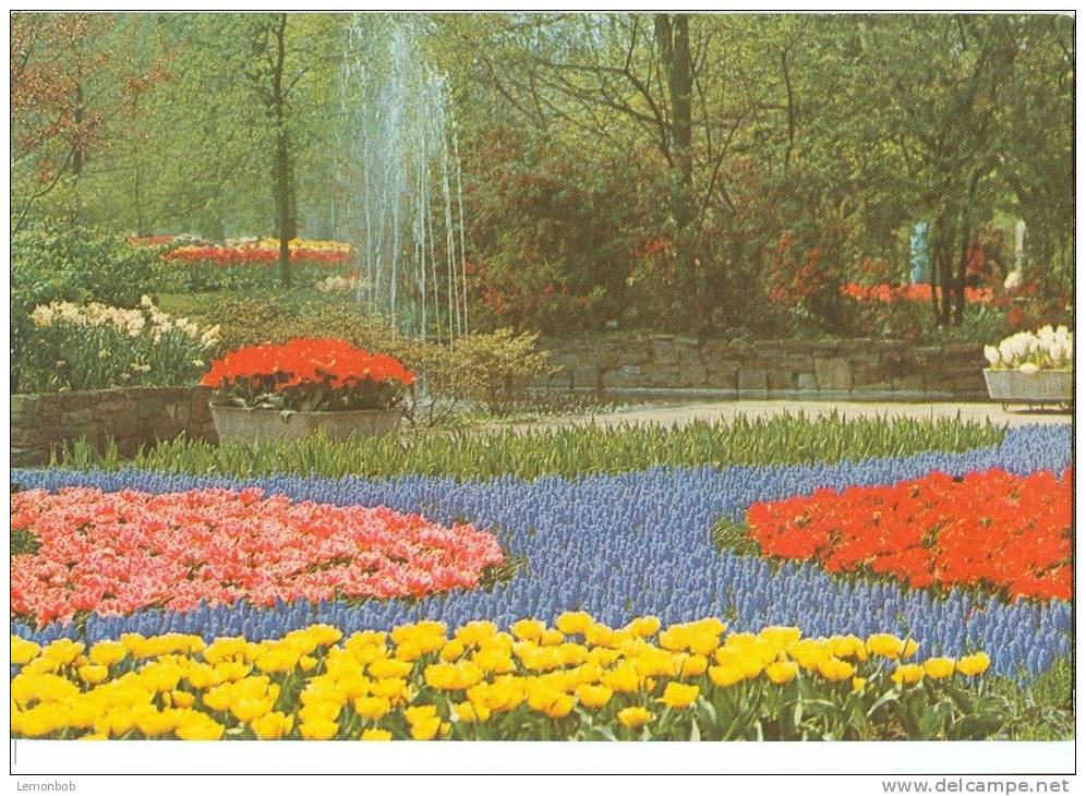 Holland, Netherlands, Keukenhof, Lisse-Holland, 1976 Used Postcard [P8944] - Lisse