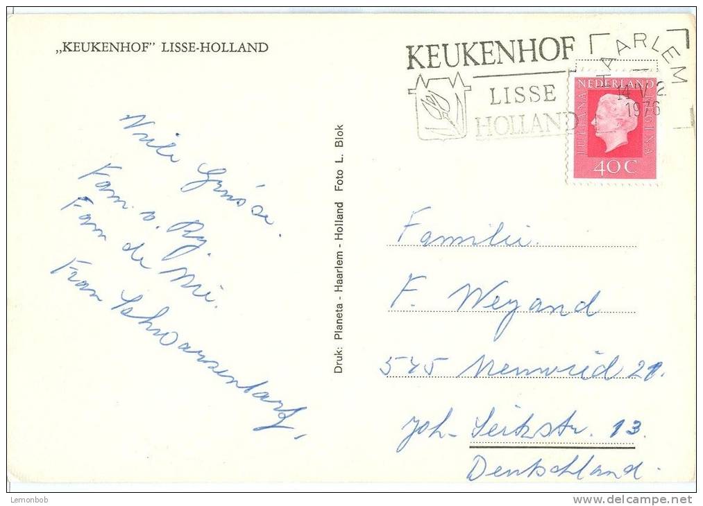 Holland, Netherlands, Keukenhof, Lisse-Holland, 1976 Used Postcard [P8944] - Lisse