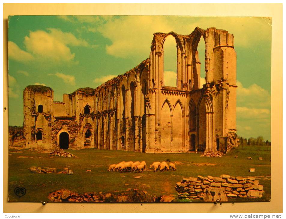 Abbaye St Pierre De Maillezais - La Cathédrale - Maillezais