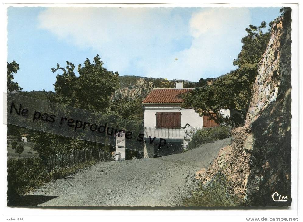 - LA ROQUEBRUSSANNE - ( Var ) - Chemin De Notre Dame, Non écrite, Neuve,  Photo Véritable, Splendide, Voir Scan. - La Roquebrussanne