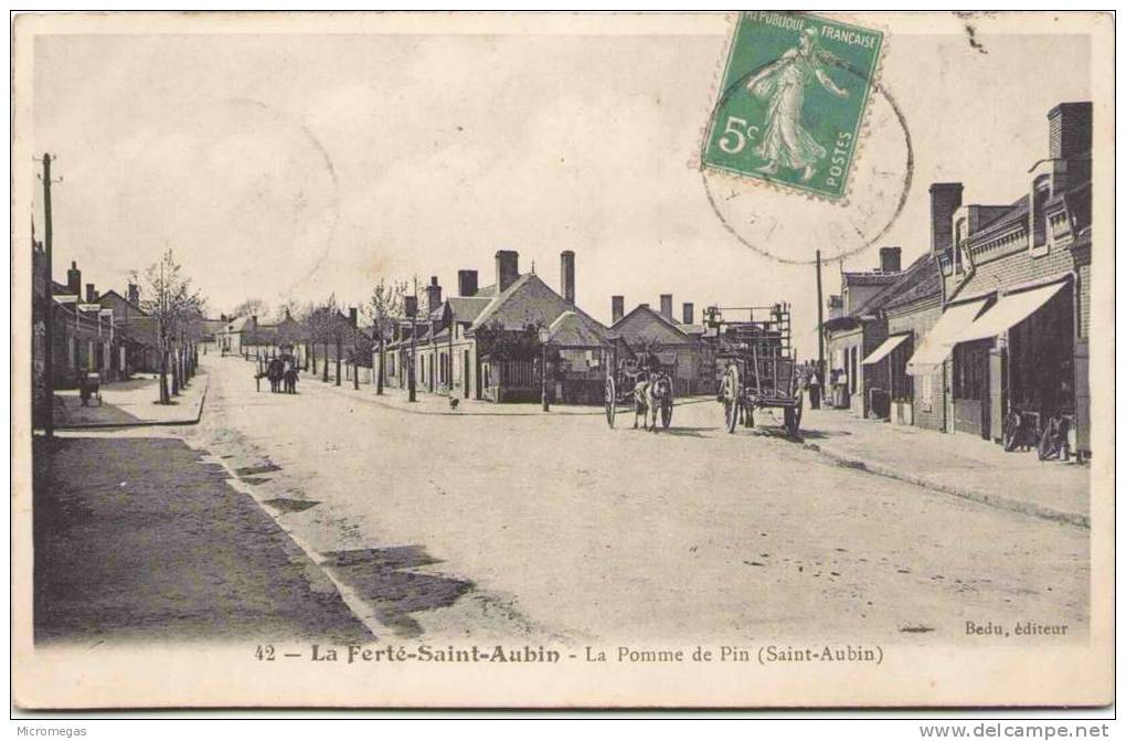 LA FERTE-SAINT-AUBIN - La Pomme De Pin - La Ferte Saint Aubin