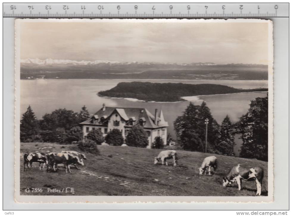 Hotel Pension De L'Ours - Prêles - Vue Sur L'Île St.-Pierre - Prêles