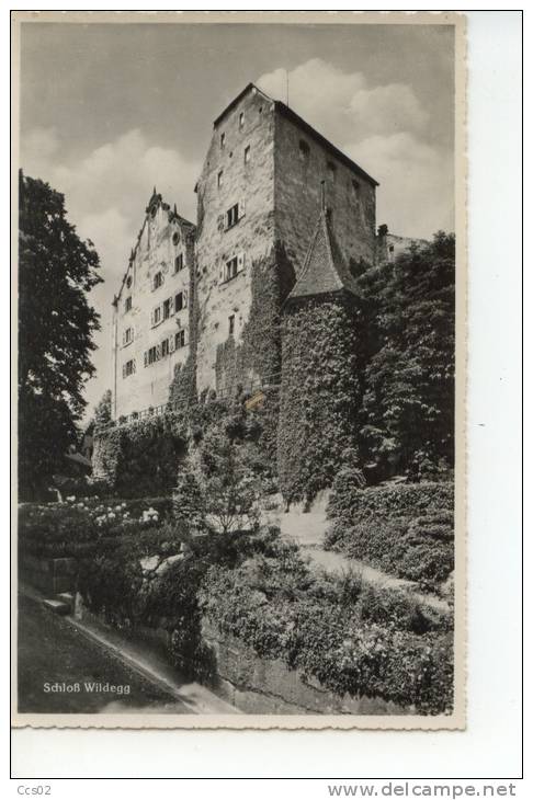 Schloss Wildegg - Wildegg