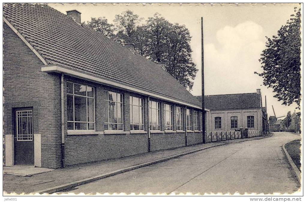 Lommel  Gemeenteschool Fr. Van Hamstraat - Lommel