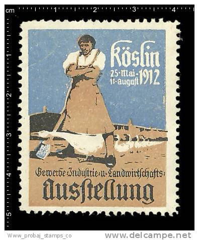 Old Original L German Poster Stamp (advertising Cinderella,reklamemarke) Exhibition, Animals, Goose, Gans, Oie , Gänse - Ganzen