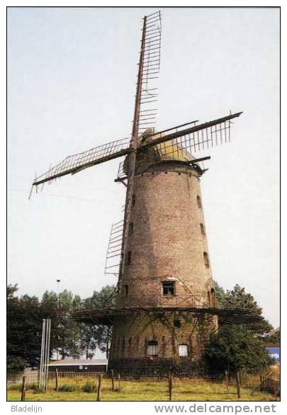 MENEN (W.Vl.) - Molen/moulin - Historische Opname Van Molen De Goede Hoop Vóór De Restauratie !! (1973) - Menen