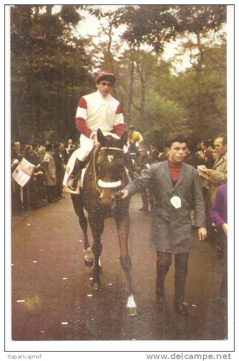 Animaux : Cheval :  Postillon - Calendrier :  Jc Desaint  Sur SPIROU ( Vincennes, Autheuil,saint Cloud,cagnes, Etc..)196 - Autres & Non Classés