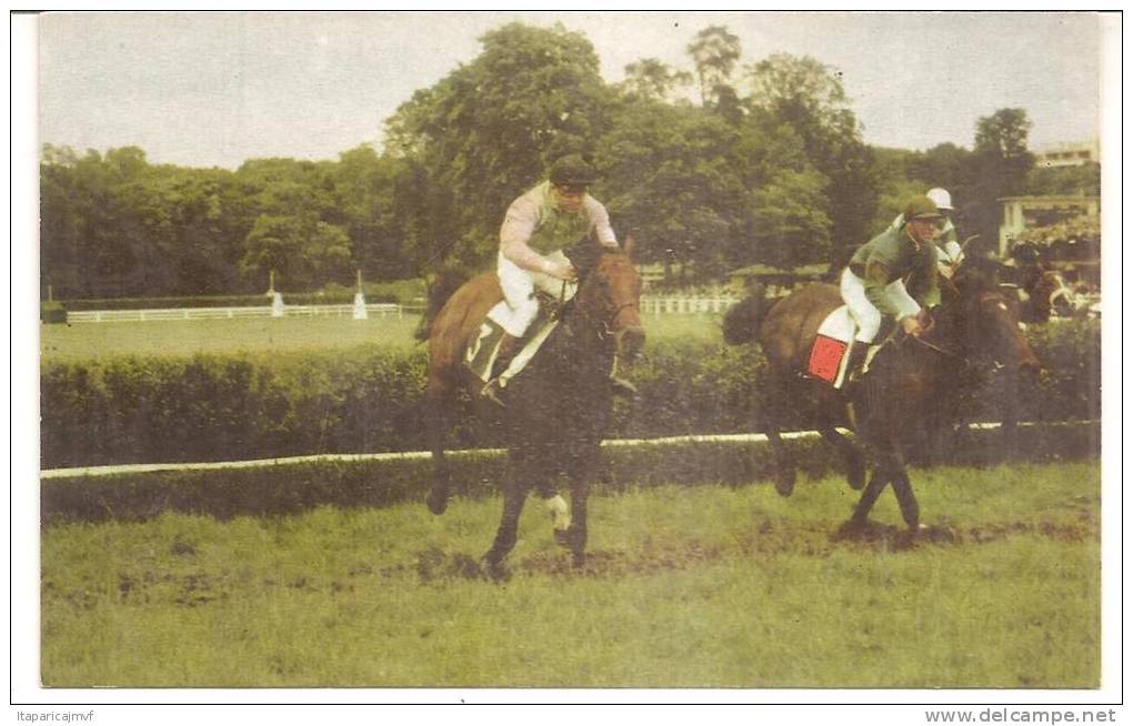 Animaux : Cheval :  Postillon - Calendrier :  JC Desaint  Sur PANSA ( Vincennes, Autheuil,,laffitte,caen)196 - Autres & Non Classés