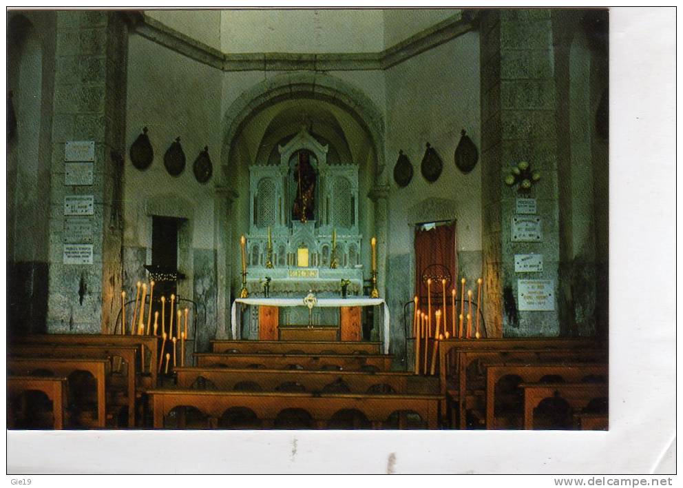 CPM 48 - Lozère - Chapelle De SAINT-ROCH Près De SAINT-ALBAN - Saint Alban Sur Limagnole