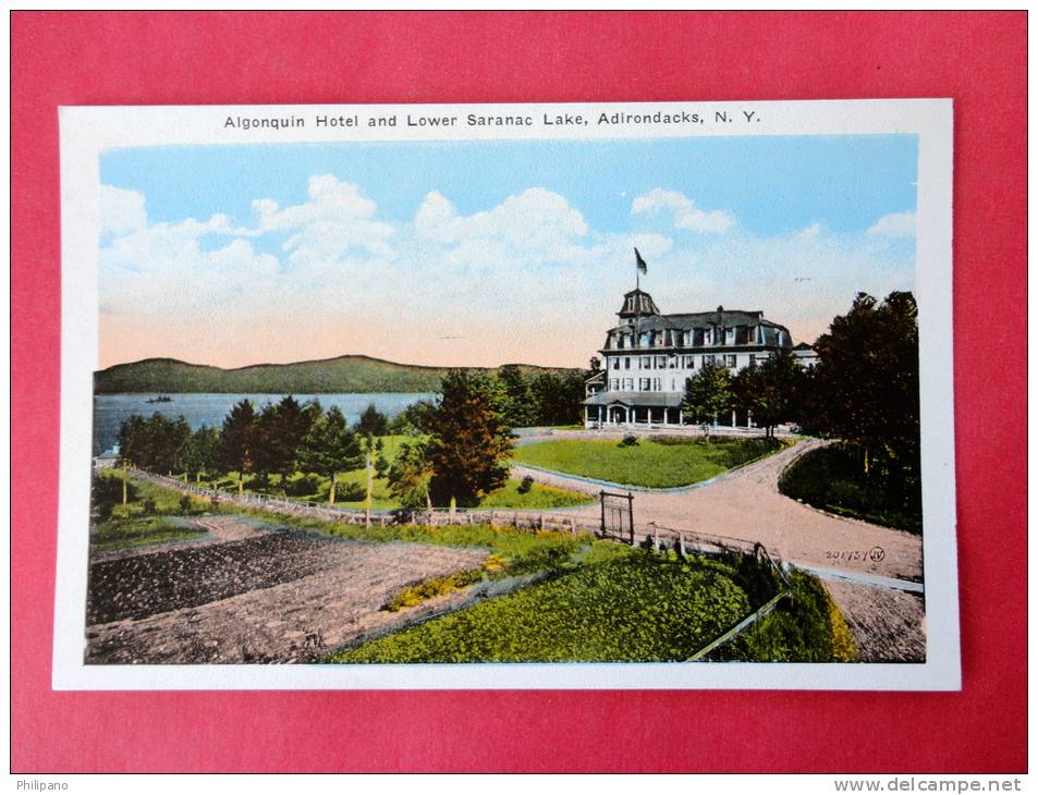 - New York > Adirondack  Algonquin Hotel  Vintage Wb=   ====    = Ref 511 - Adirondack