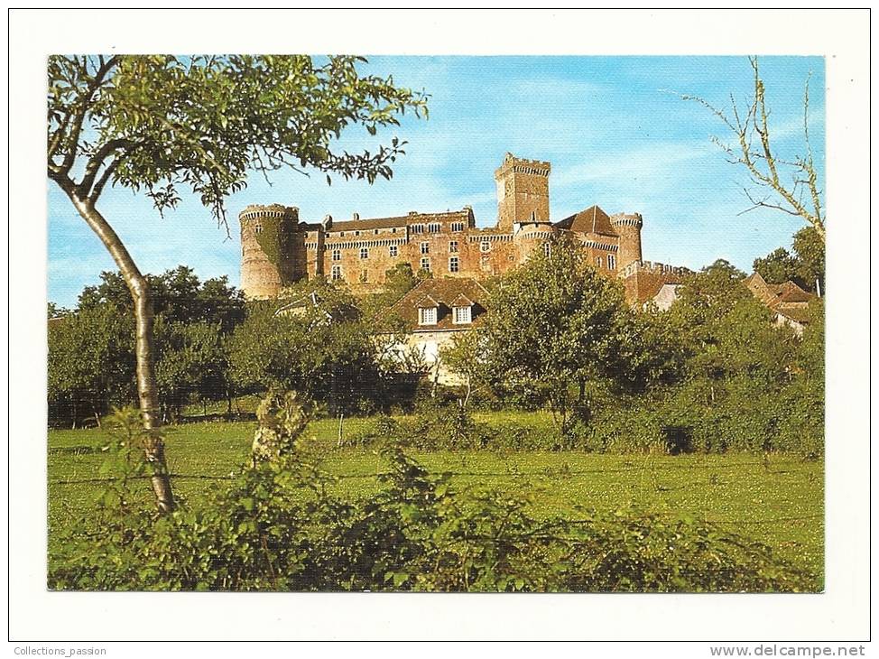 Cp, 46, Bretonoux, Château De Castelnau - Bretenoux