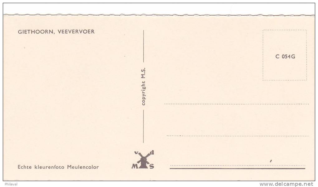 GIETHOORN, VEEVERVOER - Cp  13,5 X 5 Cms. - Giethoorn