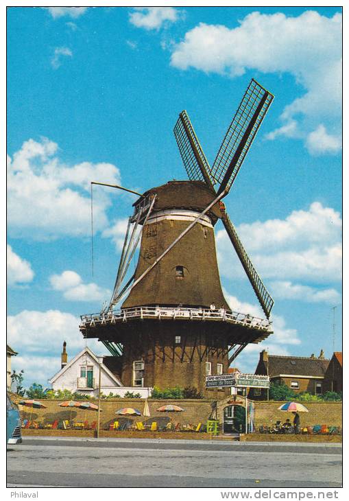 HARDERWIJK - Cp 10 X 15 - Molen De Hoop - Un Moulin à Vent - Harderwijk