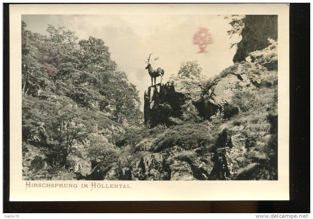 CPM Neuve Allemagne HIRSCHSPRUNG Im HOLLENTAL , Vallée De L'Enfer  Cerf - Höllental