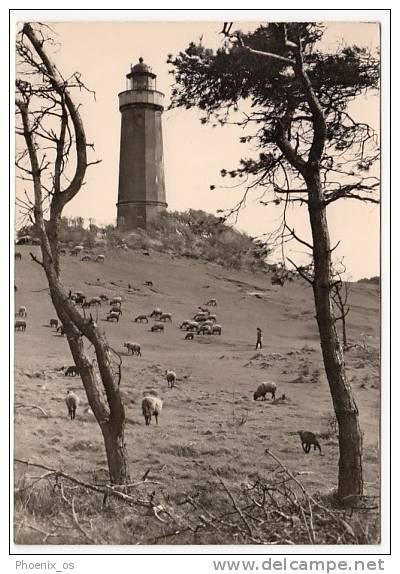 GERMANY - DDR - Hiddensee, Leuchtturm Am Dornbusch, Dornbusch Lighthouse And Sheep. Year 1967 - Hiddensee