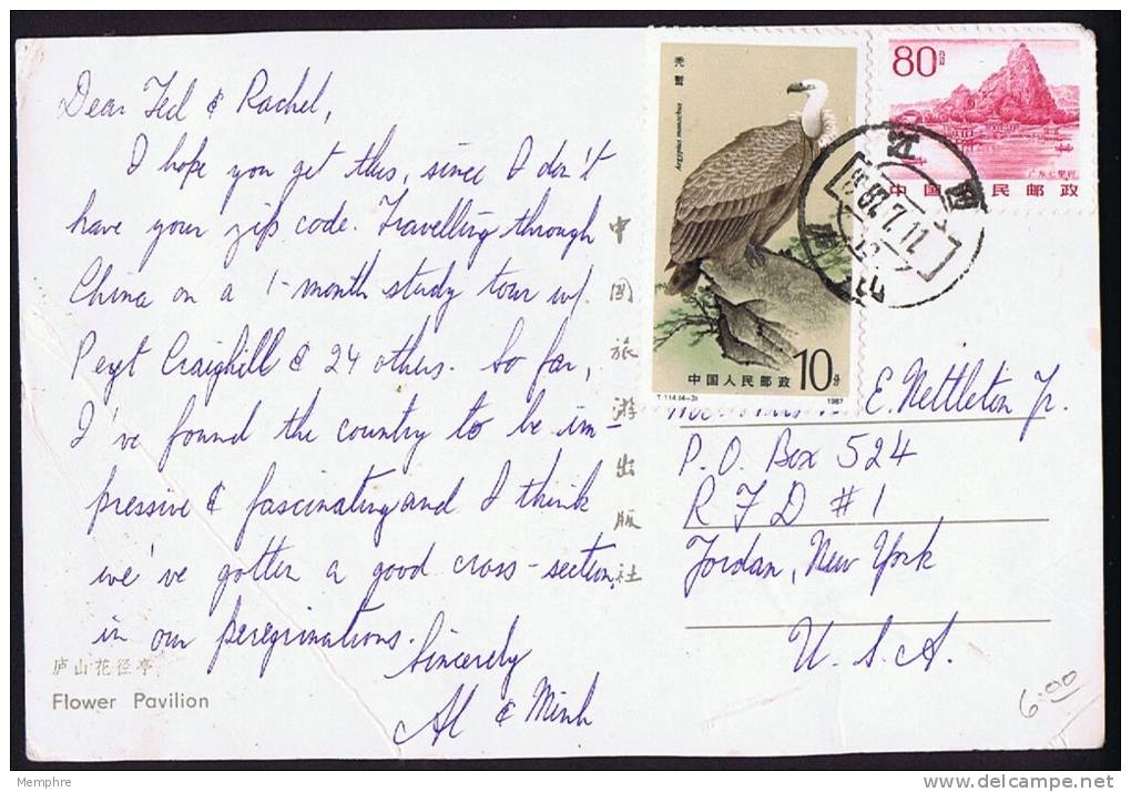 1987  Postcard To USA  Nice Franking  Bird  Folds Not Affecting The Stamps - Covers & Documents