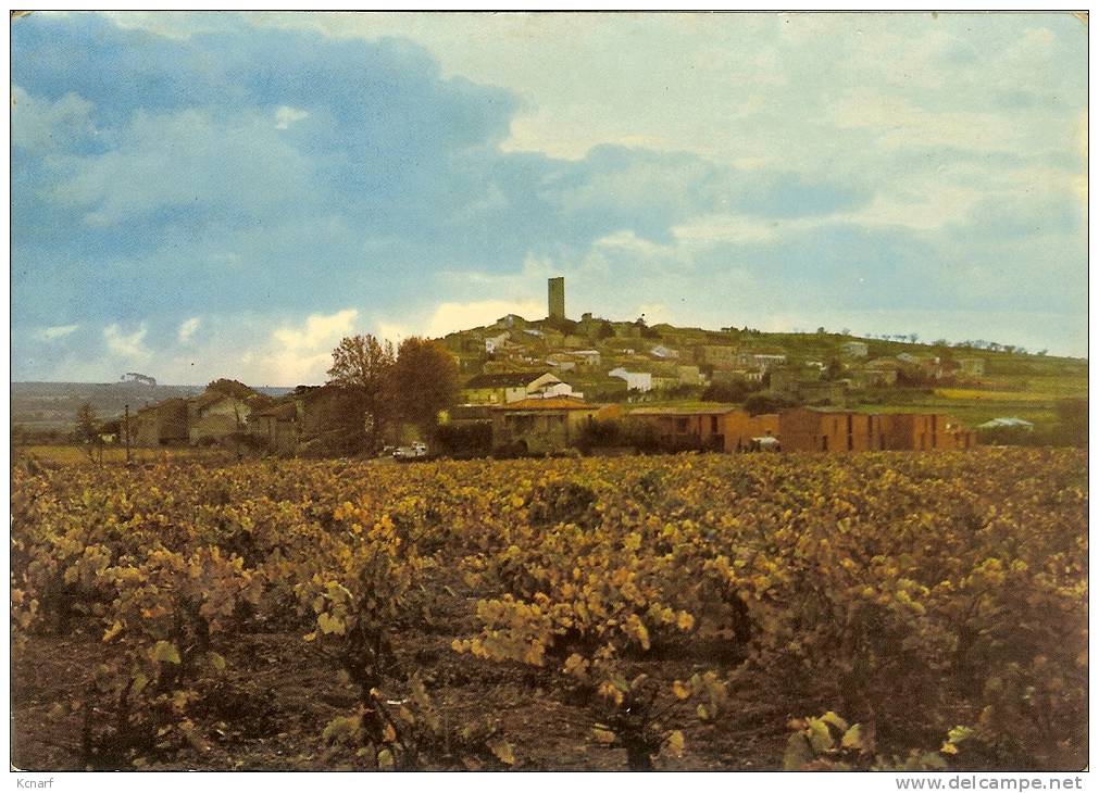 CP De MONTADY " Vue Générale " . - Capestang