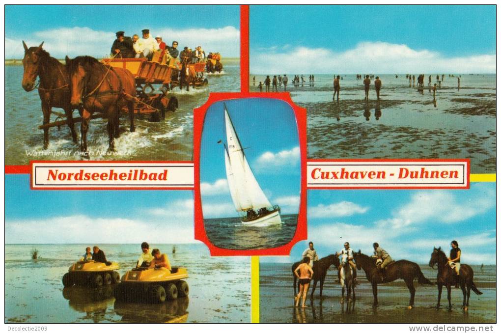 B68852 Cuxhaven Duhnem Horse Chaveaux   Used Perfect  Shape Back Scan At Request - Cuxhaven