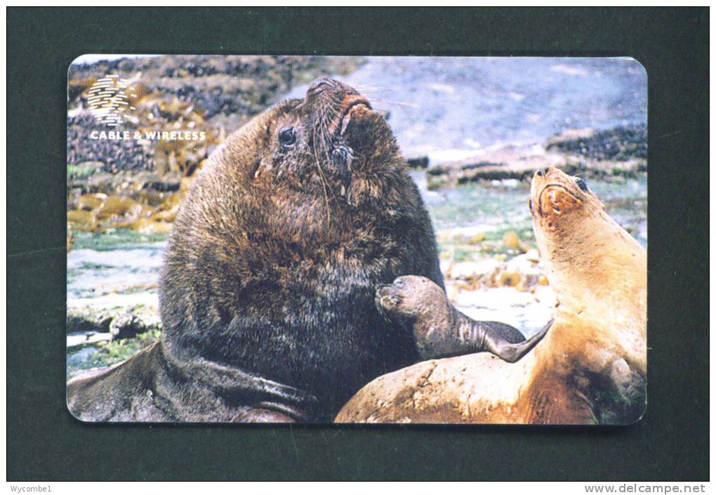 FALKLAND ISLANDS  -  Chip Phonecard As Scan - Falkland Islands