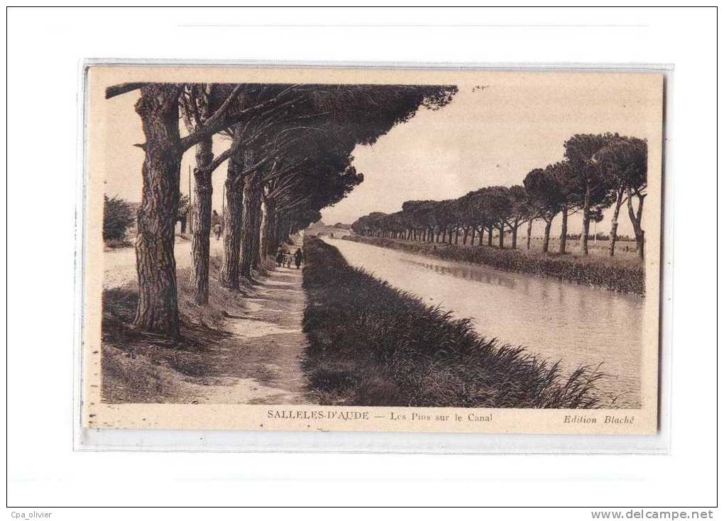 11 SALLELES AUDE Canal Du Midi, Pins, Arbres, Ed Blaché ERA, 193? - Salleles D'Aude