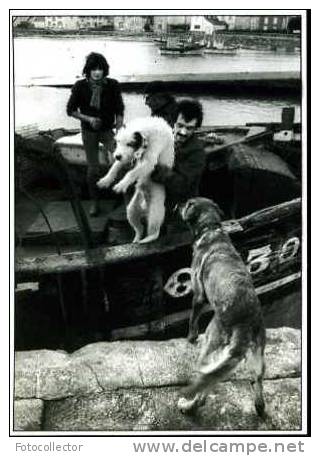 Lesconil 1982 Par Pierre Le Gall (29) - Lesconil