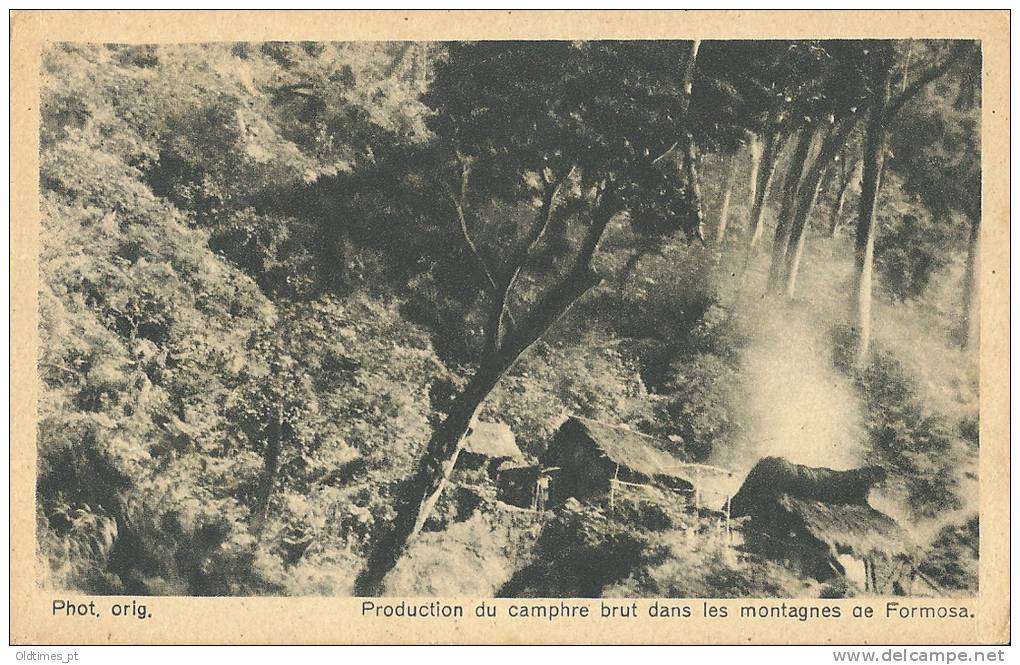 CHINA - TAIWAN - FORMOSA - CAMPHOR PRODUCTION AT THE MOUNTAINS - 1930 PC - Taiwan