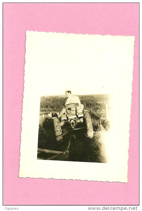 Photo : Tracteur (8x10) U.S.A. - Traktoren