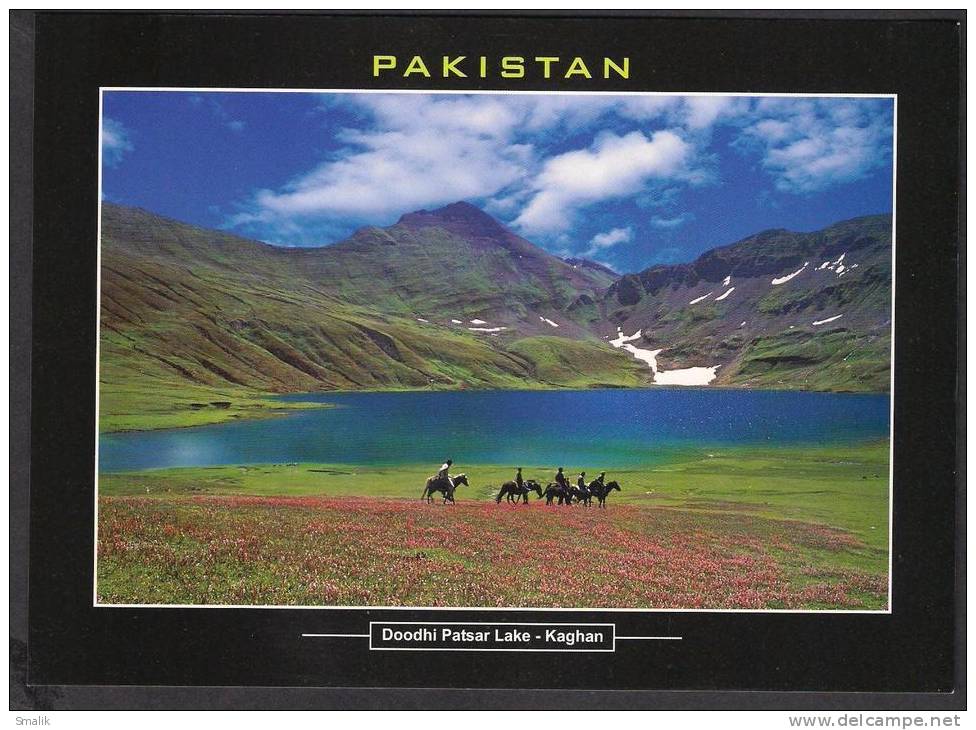 LC425 PAKISTAN POSTCARD Doodhi Patsar Lake 60 Km From Naran Valley - Kaghan, Mountains, Horses, Unused - Pakistan