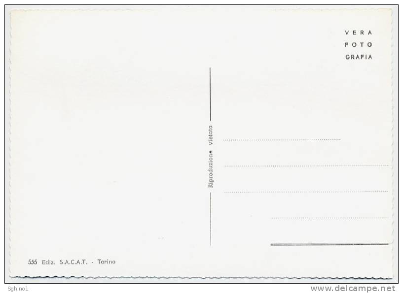 TORINO - PANORAMA E VEDUTINE - Multi-vues, Vues Panoramiques