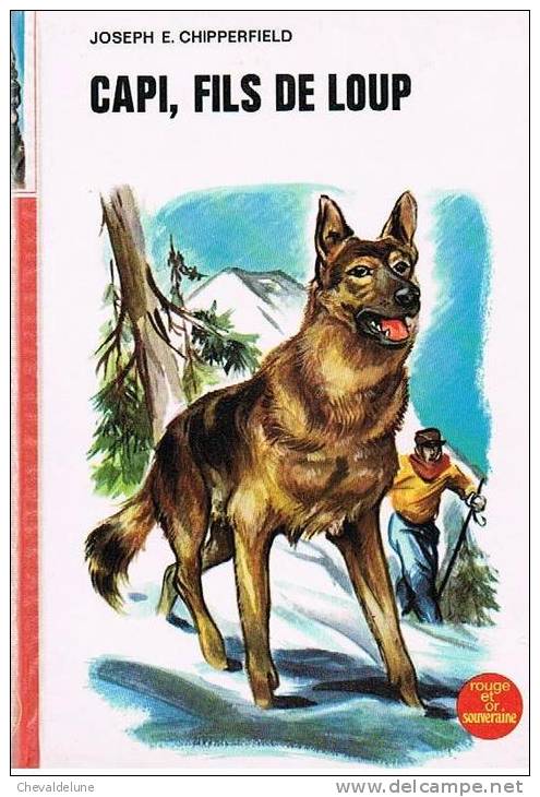 [ENFANTINA]  JOSEPH E. CHIPPERFIELD  :  CAPI, FILS DE LOUP ILLUSTRE PAR HENRI DIMPRE 1970 - Bibliotheque Rouge Et Or