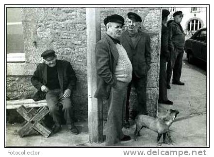 Lesconil 1981 Par Pierre Le Gall (29) - Lesconil