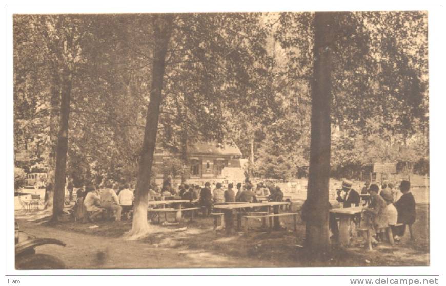 ROISIN - Château Des Bargettes - Hôtel Restaurant Du Caillou-qui-bique - Pavillon Du Château (1977)hon - Honnelles