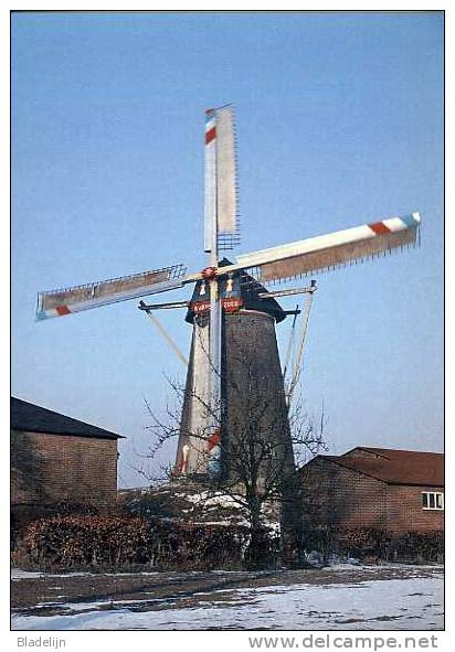 GEMERT (Noord-Brabant) - Molen/moulin - Historische Opname Van De Volksvriend, Opgezeild En In Werking (1963) - Gemert