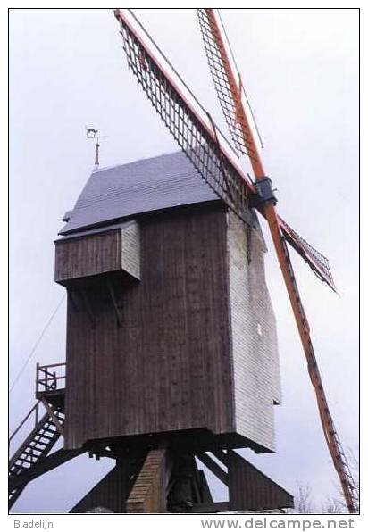 ELLEZELLES - ELZELE (Hainaut) - Molen/moulin - De Kattemolen - Moulin Du Cat Sauvage. Image Inverse / Spiegelbeeld - Ellezelles