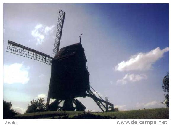 ELLEZELLES - ELZELE (Hainaut) - Molen/moulin/mill - De Kattemolen - Moulin Du Cat Sauvage - Ellezelles