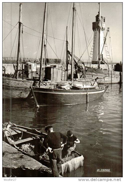 CPSM QUIBERON  ,  PORT-HALIGUEN - Quiberon