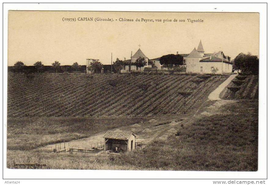 CAPIAN - CHATEAU DU PEYRAT VUE PRISE DE SON VIGNOBLE N° 10979    (D33) - Autres & Non Classés